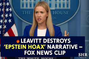White House Press Secretary Karoline Leavitt addresses media about Democrats’ Epstein document diversion