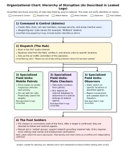 Clean color coded organizational chart showing alleged Signal chat hierarchy: Admins, Dispatch hub, specialized field units, and foot soldiers